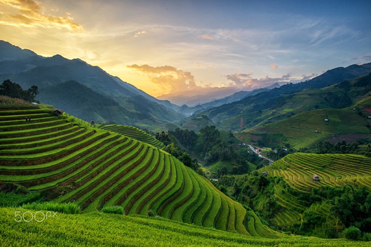 mu cang chai appears picturesque through lens of foreign photographers hinh 8