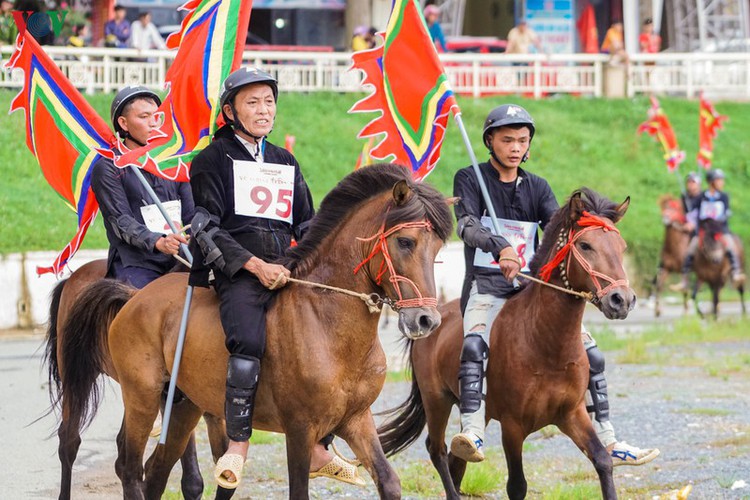 crowds in sa pa thrilled by local horse race hinh 1