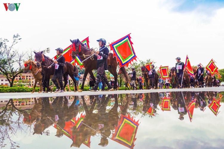 crowds in sa pa thrilled by local horse race hinh 4