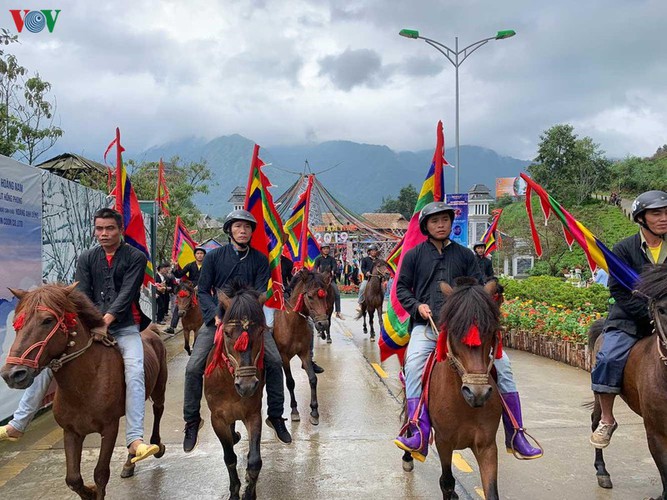 crowds in sa pa thrilled by local horse race hinh 6