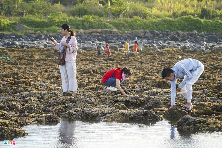unique coral reef clusters seen above water in central coastal region hinh 5