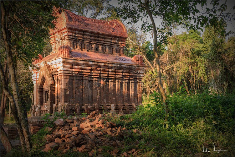my son sanctuary through lens of foreign photographers hinh 5