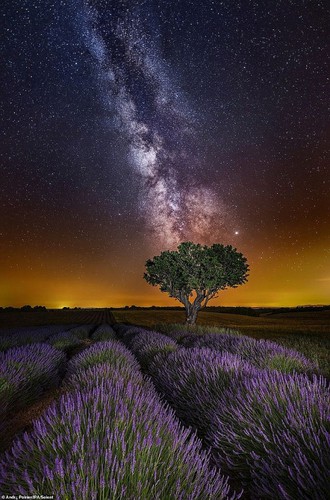 vietnam photo among breathtaking artworks in world contest hinh 6