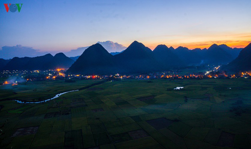 bac son rice fields turn yellow amid harvest season hinh 10