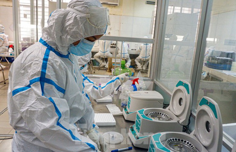 hard-working technicians at da nang lab seek covid-19 infection cases hinh 2