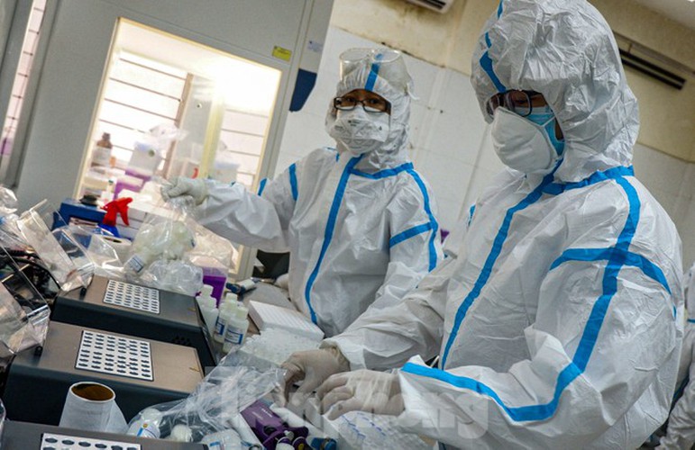 hard-working technicians at da nang lab seek covid-19 infection cases hinh 8