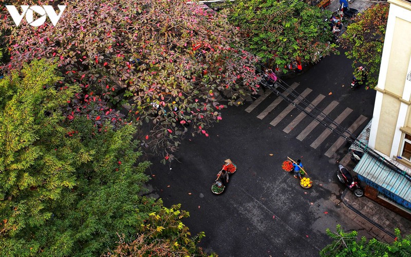 when vendors take to hanoi streets hinh 4