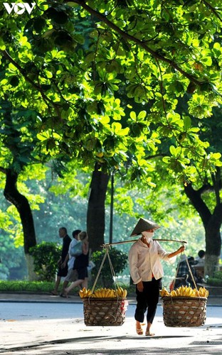 when vendors take to hanoi streets hinh 6