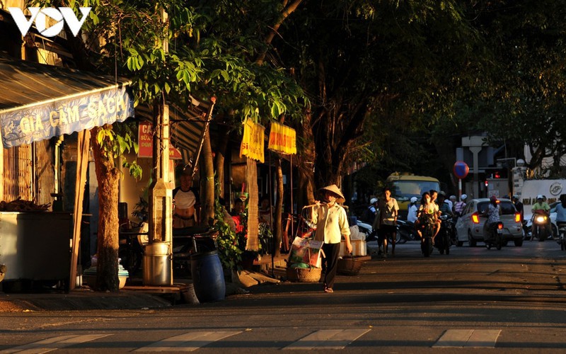 when vendors take to hanoi streets hinh 8