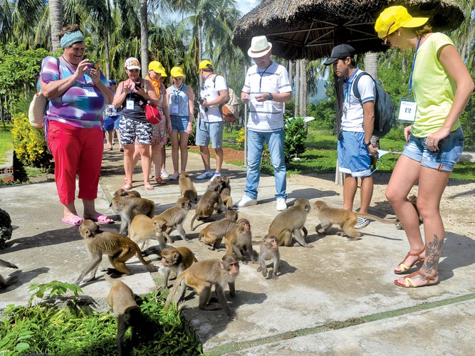 four idyllic local islands share names with animals hinh 1