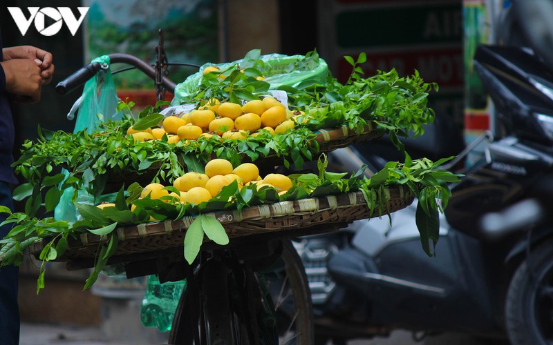 hanoi specialties during autumn months hinh 10