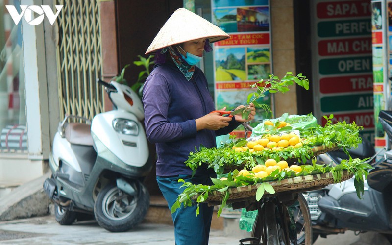 hanoi specialties during autumn months hinh 11