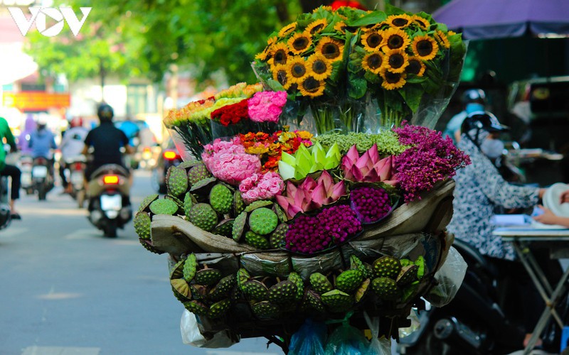 hanoi specialties during autumn months hinh 14