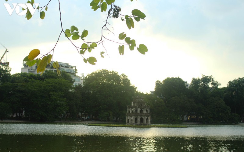 hanoi specialties during autumn months hinh 1