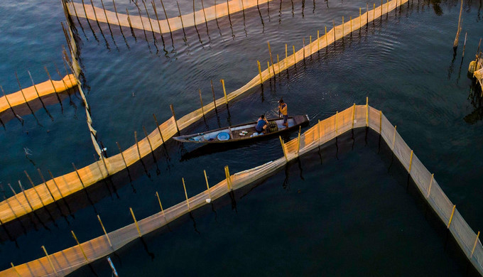 discovering magnificent sunrise of chuon lagoon in thua thien hue hinh 2