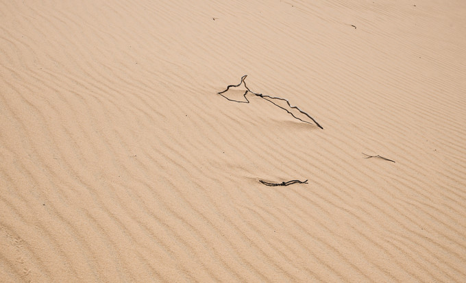 picturesque giant sand dunes of quy nhon hinh 3