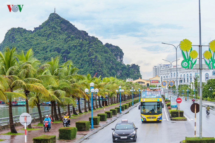 foreigners enjoy scenic views onboard double decker buses in ha long hinh 4