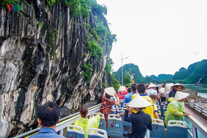 foreigners enjoy scenic views onboard double decker buses in ha long hinh 5
