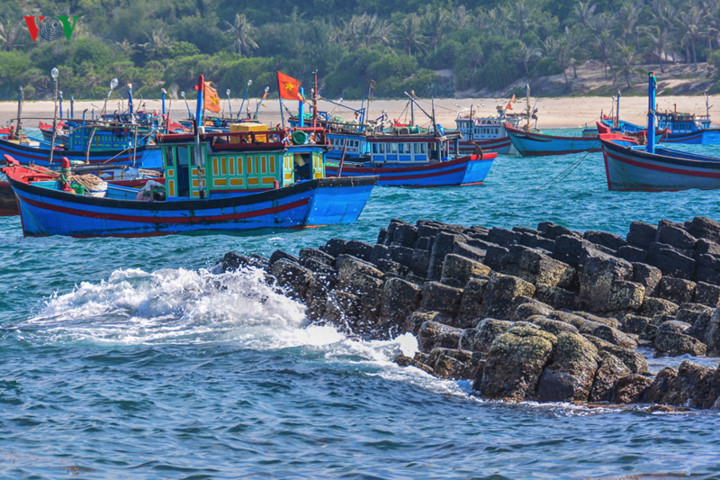 discovering stunning natural landscapes of phu yen in summer hinh 3