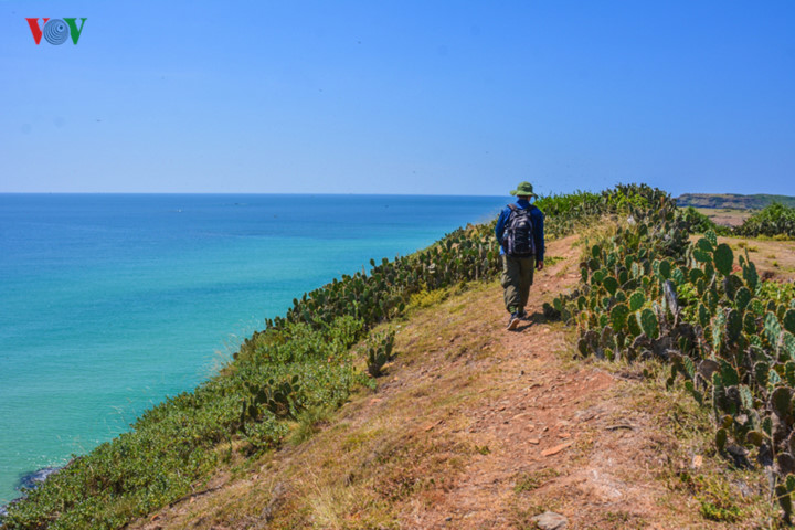 discovering stunning natural landscapes of phu yen in summer hinh 9