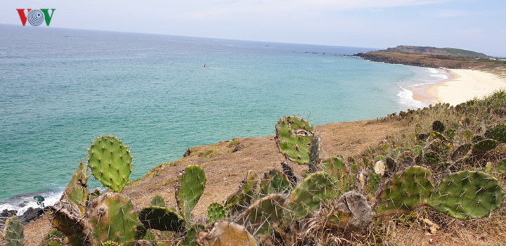 discovering stunning landscapes of binh dinh and phu yen hinh 5