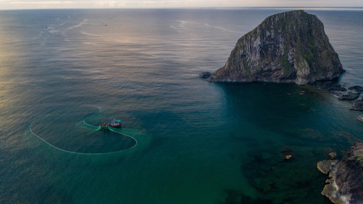 dramatic images of fishing nets captured from above in phu yen hinh 1