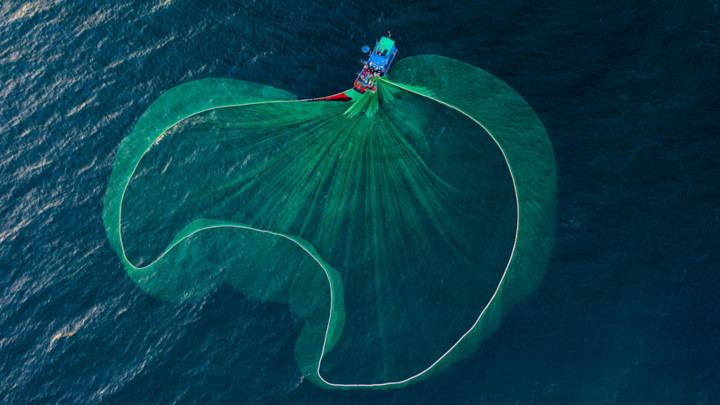 dramatic images of fishing nets captured from above in phu yen hinh 3
