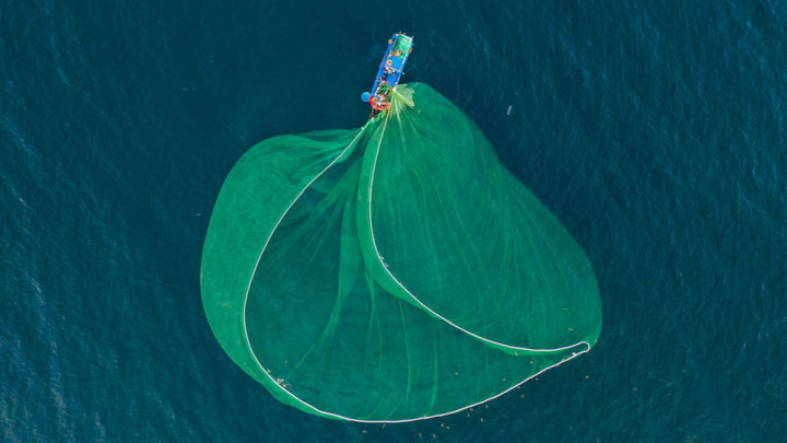 dramatic images of fishing nets captured from above in phu yen hinh 5