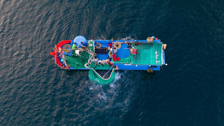 dramatic images of fishing nets captured from above in phu yen hinh 7