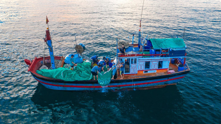 dramatic images of fishing nets captured from above in phu yen hinh 8