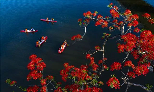 dramatic images showcase vietnam's beautiful landscapes hinh 16