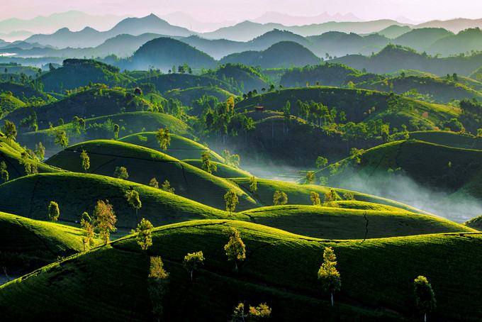 top 10 winning photos from ‘vietnam’s landscapes from height’ contest hinh 5