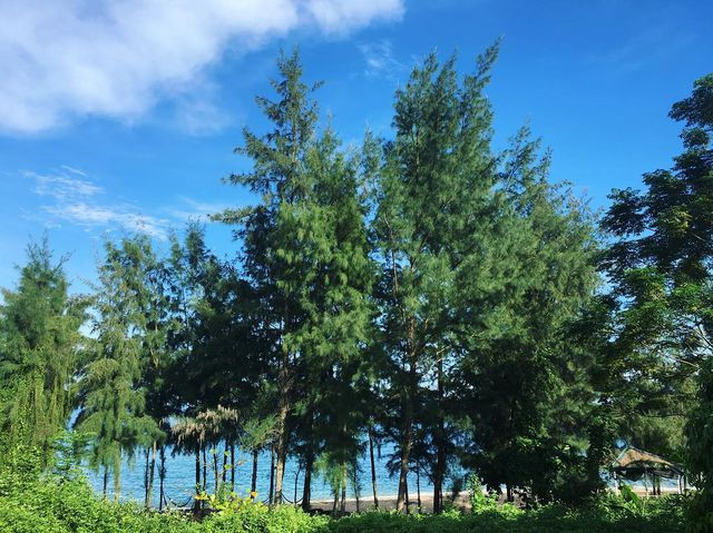 discovering unspoiled beauty of cai chien island in quang ninh hinh 3