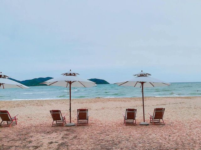 discovering unspoiled beauty of cai chien island in quang ninh hinh 9