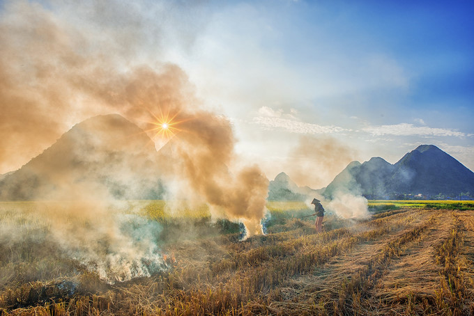 discovering stunning ripening paddy fields of bac son valley hinh 6