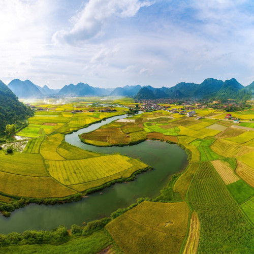 discovering stunning ripening paddy fields of bac son valley hinh 7