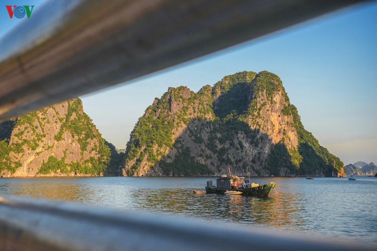 discovering scenic coastal road in ha long hinh 6