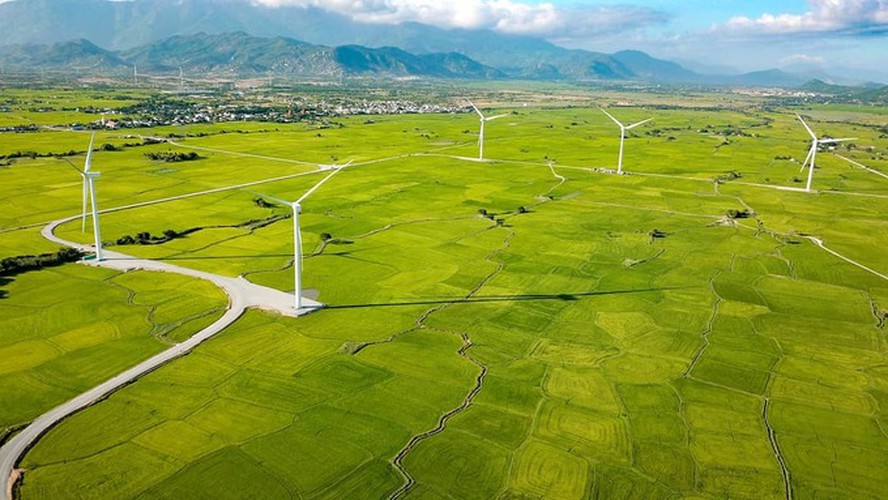 dam nai wind farm in phan rang proves a hit among young travelers hinh 1