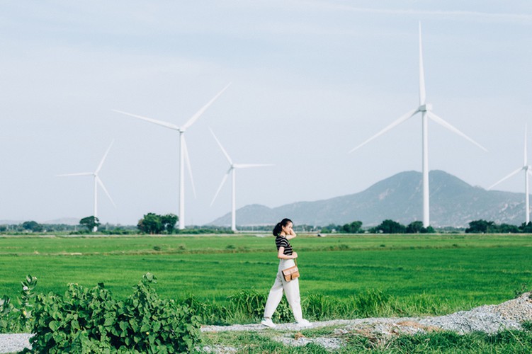 dam nai wind farm in phan rang proves a hit among young travelers hinh 2