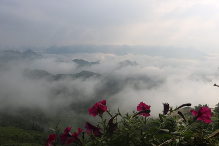 exploring quan ba heaven gate amid a sea of clouds in ha giang hinh 5