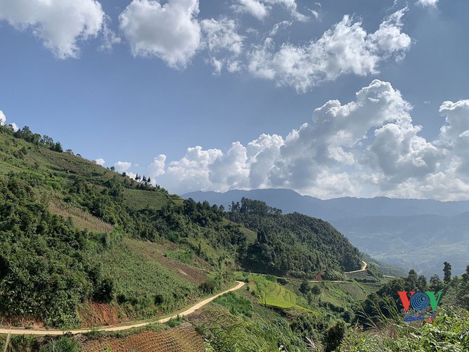 exploring golden paddy fields of yen bai hinh 10