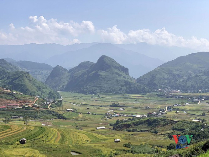 exploring golden paddy fields of yen bai hinh 11