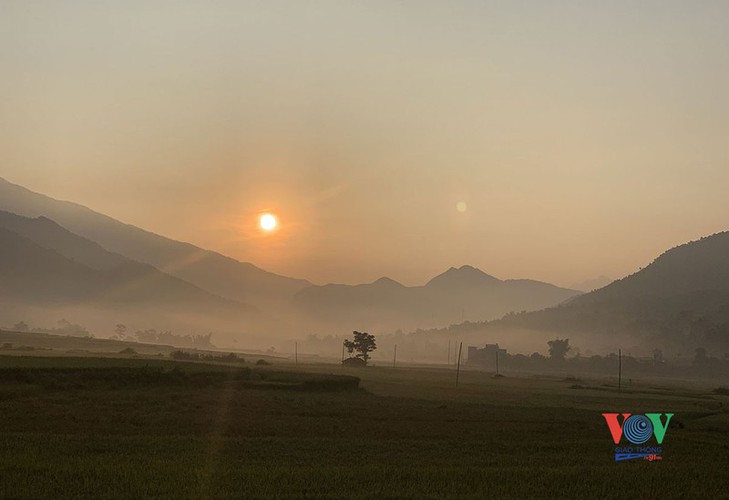 exploring golden paddy fields of yen bai hinh 12