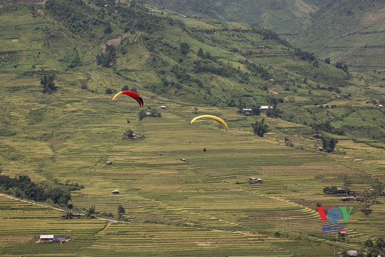 exploring golden paddy fields of yen bai hinh 19