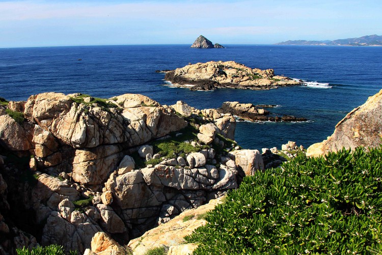 discovering hon noi island in nha trang bay hinh 3