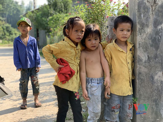 exploring golden paddy fields of yen bai hinh 5