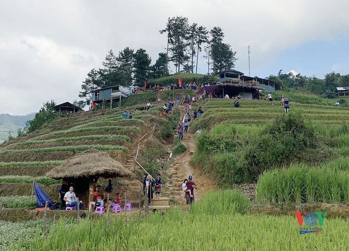 exploring golden paddy fields of yen bai hinh 7