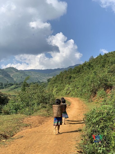 exploring golden paddy fields of yen bai hinh 8