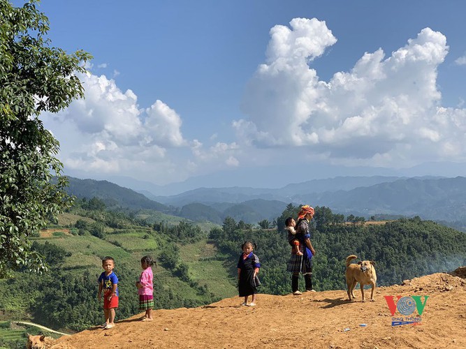 exploring golden paddy fields of yen bai hinh 9