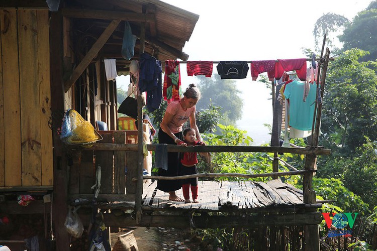 exploring golden paddy fields of yen bai hinh 3